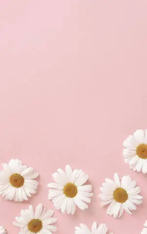 Pastel iPhone Pink Flowers