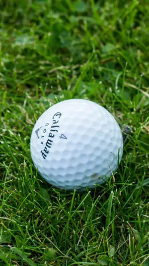 Piece Of White Ball Golf Iphone