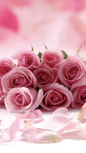 Pink Rose iPhone Bouquet And Petals