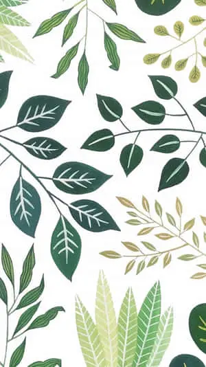 Digital Painting Of Different Leaves Of Plant Phone
