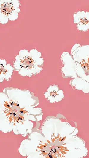 Pretty Background iPhone White Flowers