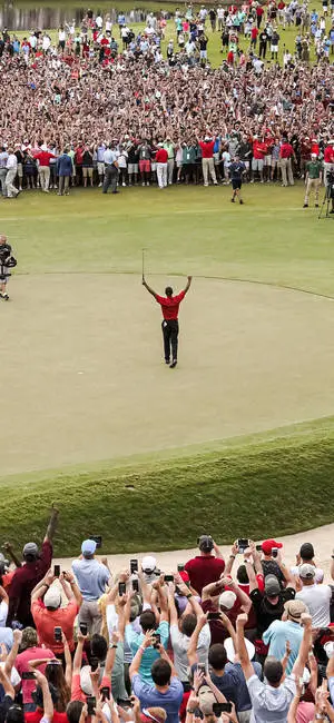 Tiger Woods On The Green Sports iPhone