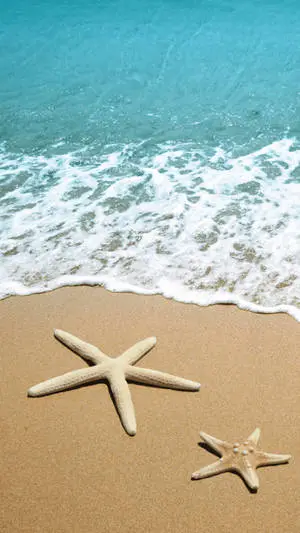 Starfish On Beach Summer iPhone