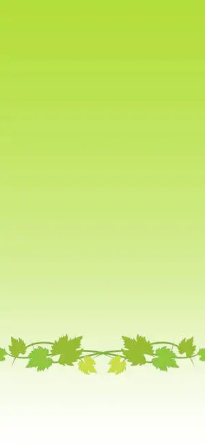 Super Light Green Leafy Vine