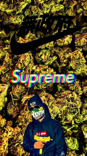 Supreme Aesthetic Nike
