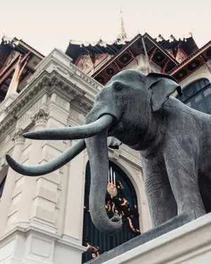 Temple Elephant iPhone