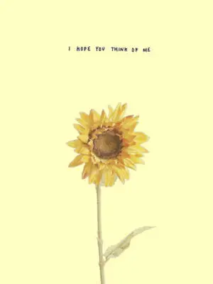 Think Of Me Flowers Aesthetic