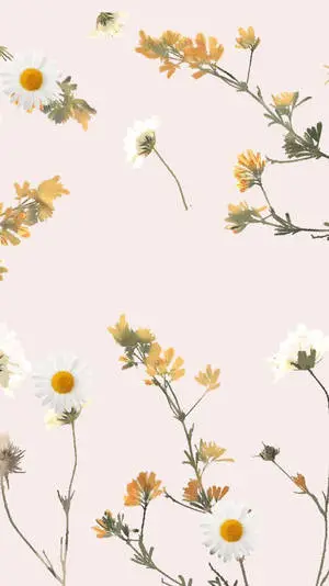 Tiny White Yellow Flowers Aesthetic