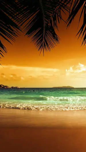 Cinematic Sunset Beach Tropical iPhone