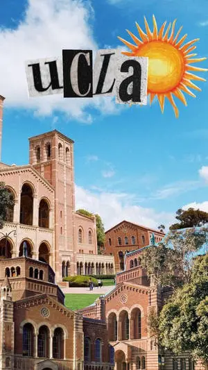UCLA Sun Aesthetic