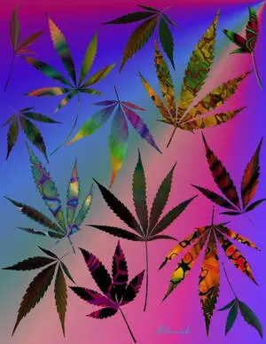 Weed Leaf Graphics In Rainbow-Like Backdrop