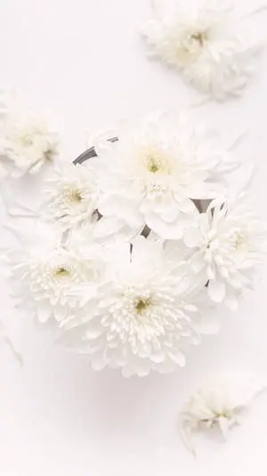 White Flower Bouquet For iPhone