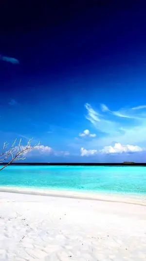 White Sand Beach Iphone
