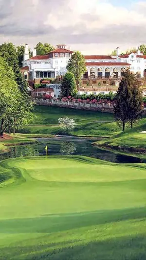 Wide Green Golf IPhone